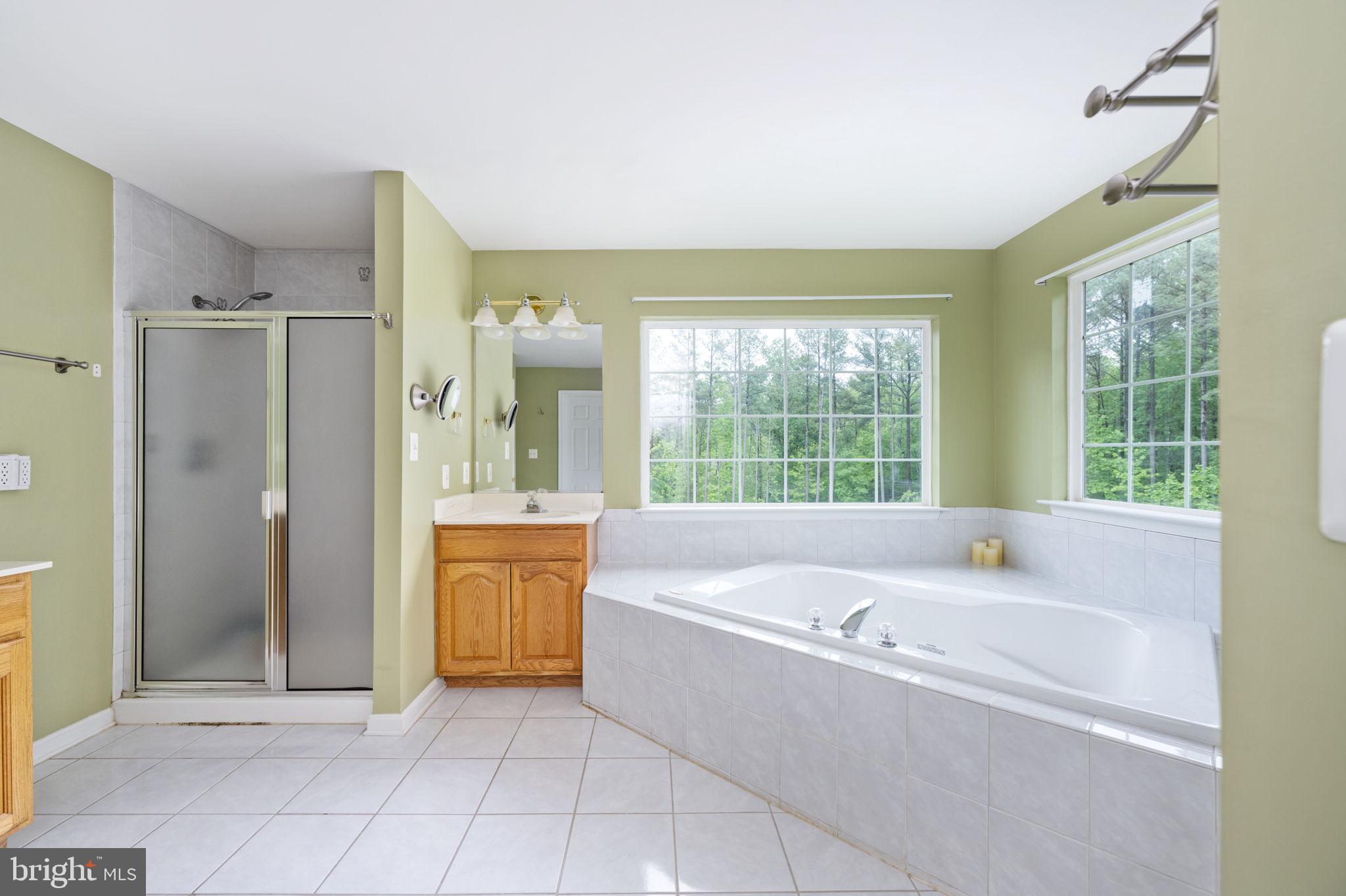 4 Riva Ridge Drive Stafford, VA 22556 - Photo 44 of 96 Soak your cares away in the luxurious tub