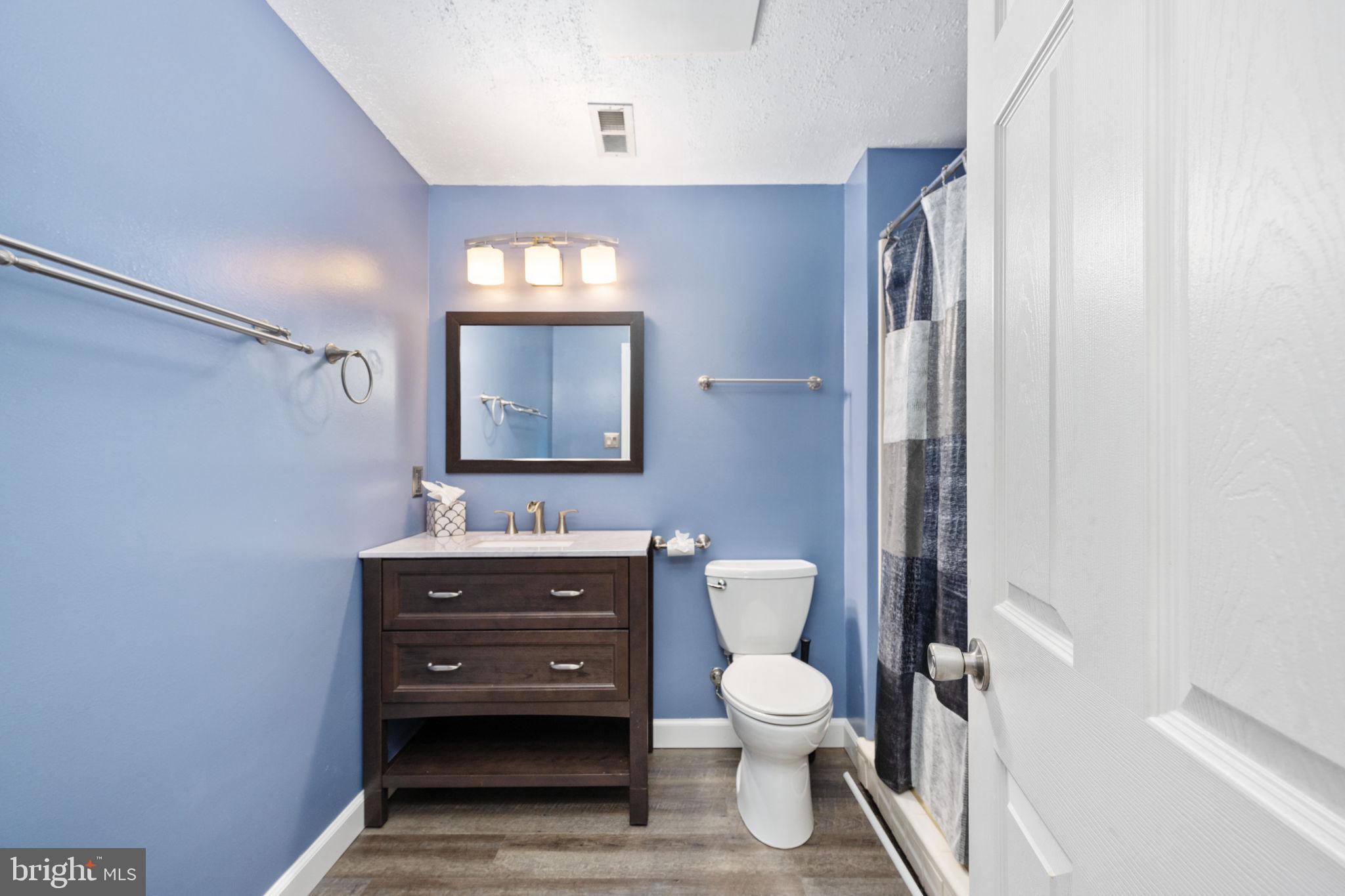 4 Riva Ridge Drive Stafford, VA 22556 - Photo 66 of 96 LVP flooring in basement bathroom