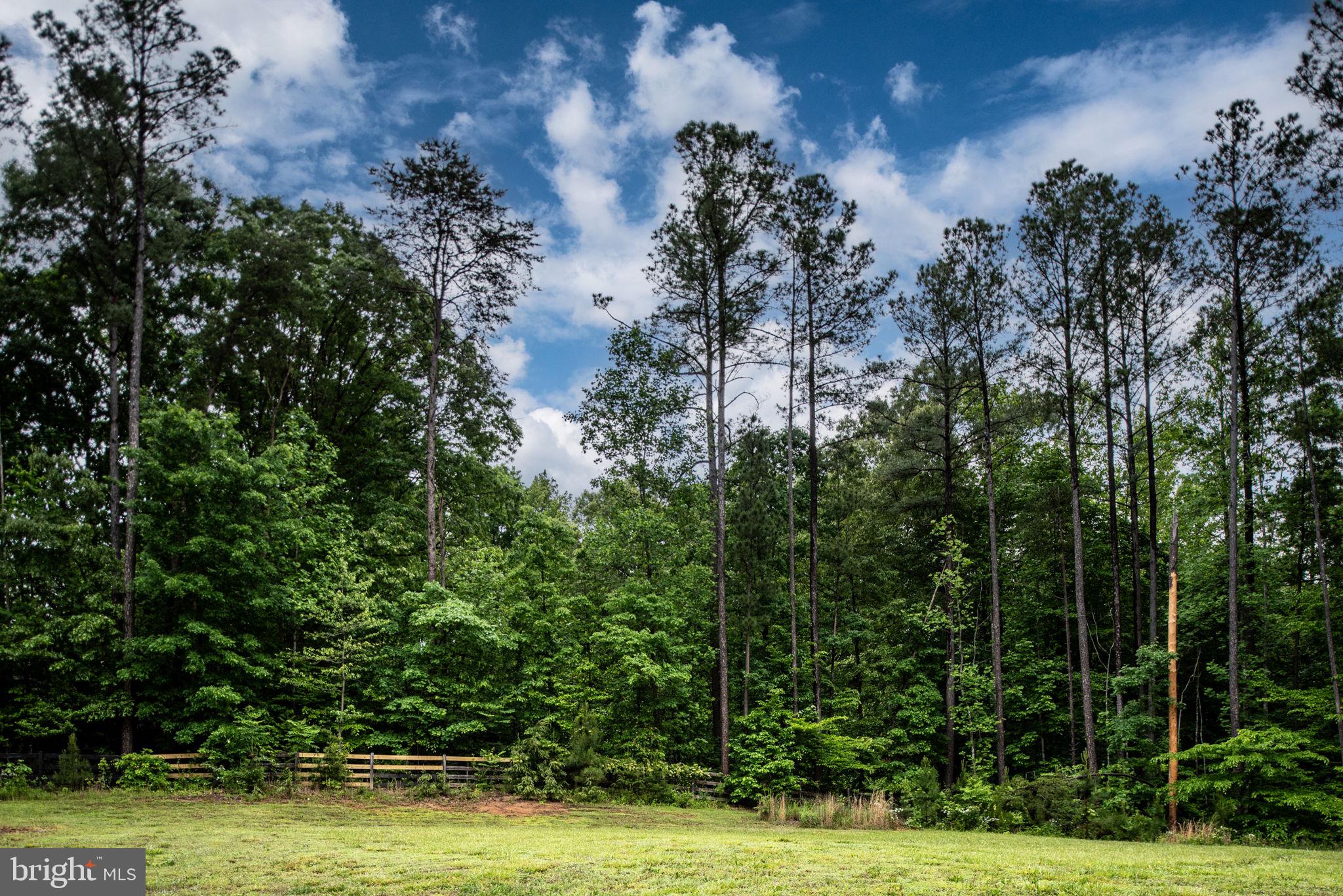 4 Riva Ridge Drive Stafford, VA 22556 - Photo 80 of 96 Tranquil views in the back yard