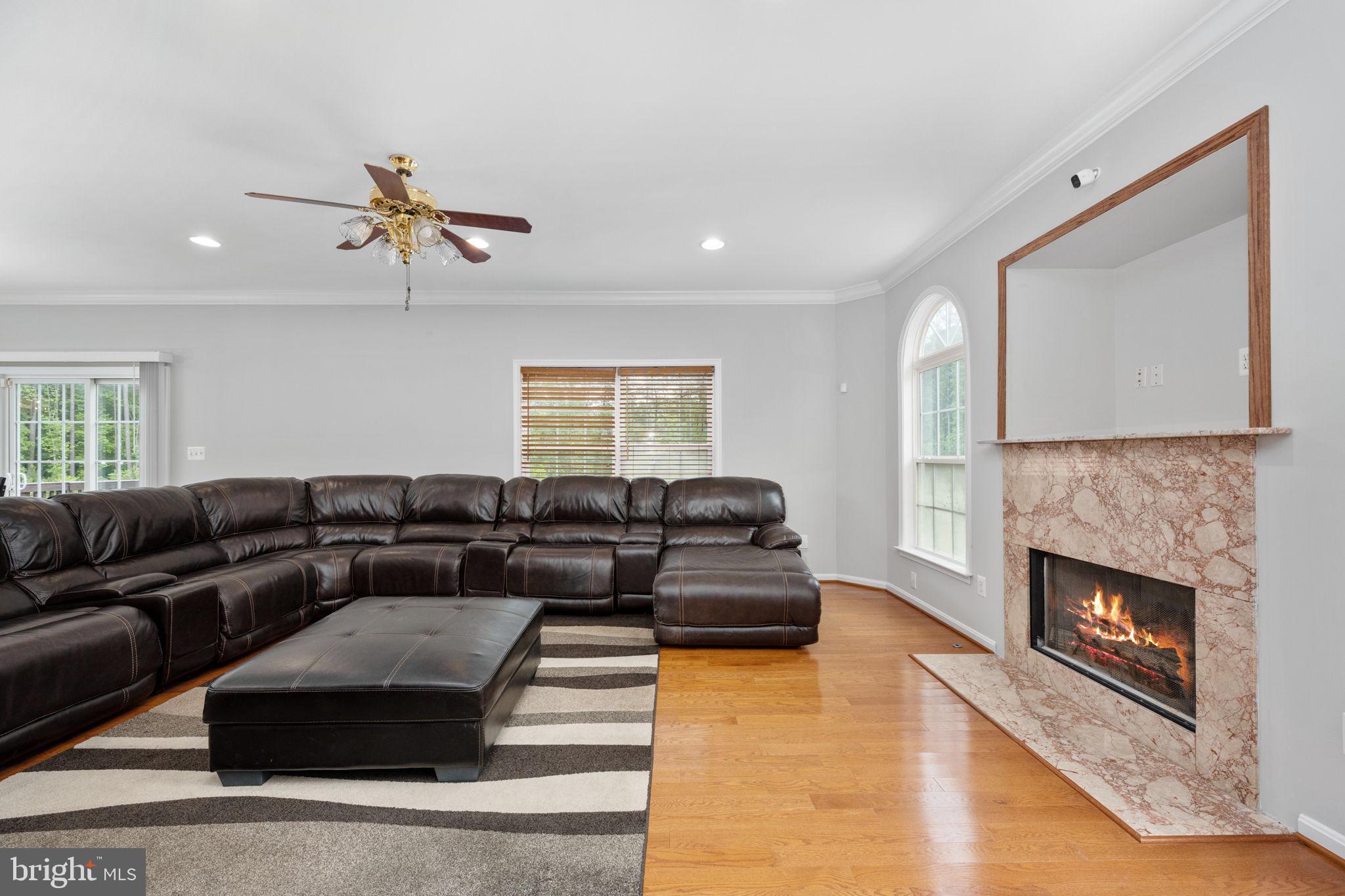 4 Riva Ridge Drive Stafford, VA 22556 - Photo 8 of 96 Family room fireplace has marble facade