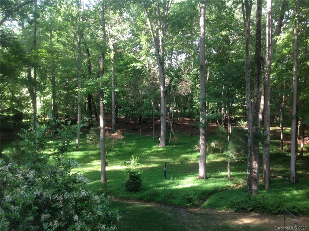 3002 High Ridge Road Charlotte, NC 28270 - Photo 38 of 41 a backyard of a house with lots of green space