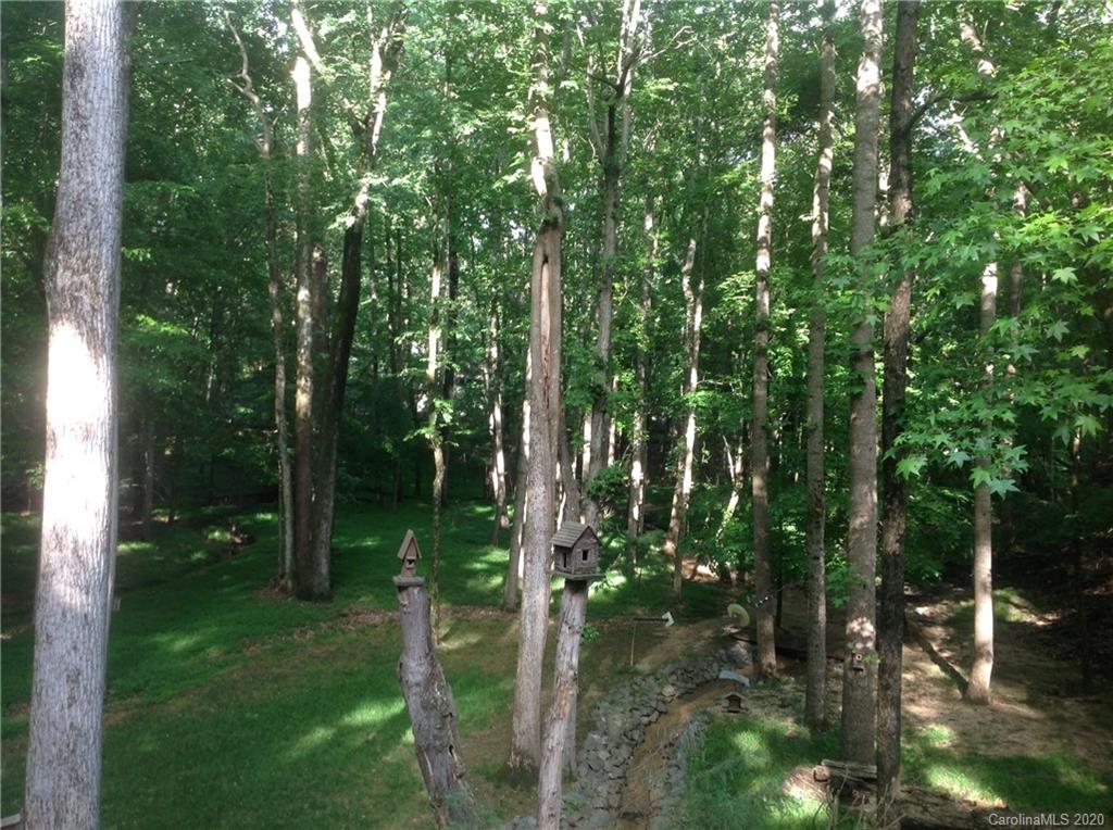 3002 High Ridge Road Charlotte, NC 28270 - Photo 39 of 41 a view of forest