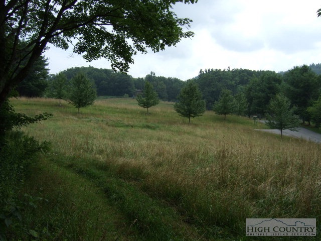 Lot 7-8 Apple Creek Road Boone, NC 28607 - Photo 2 of 8 Gallery Image 2