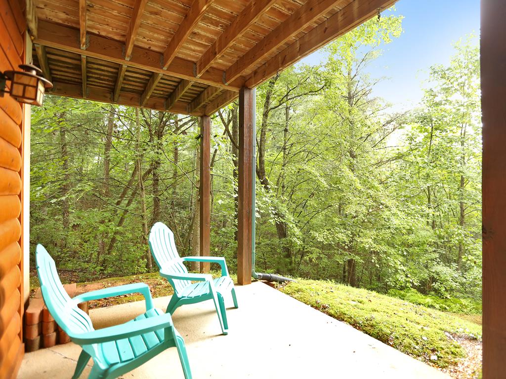 361 Moss Lane Blue Ridge, GA 30513 - Photo 61 of 72 Gallery Image 61