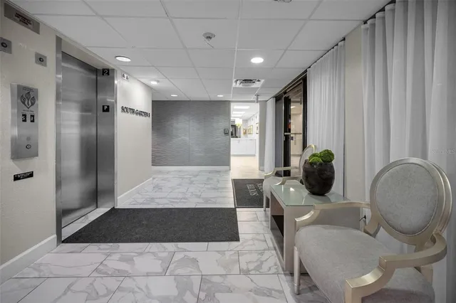 a view of a yard with plants and large trees