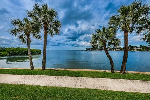 a view of a garden with a bench in front of it
