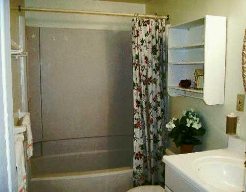 160 Pintail Road Gibsonia, PA 15044 - Photo 4 of 5 Master Bath/Spa.
