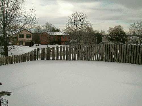 160 Pintail Road Gibsonia, PA 15044 - Photo 5 of 5 Yard/Garden.