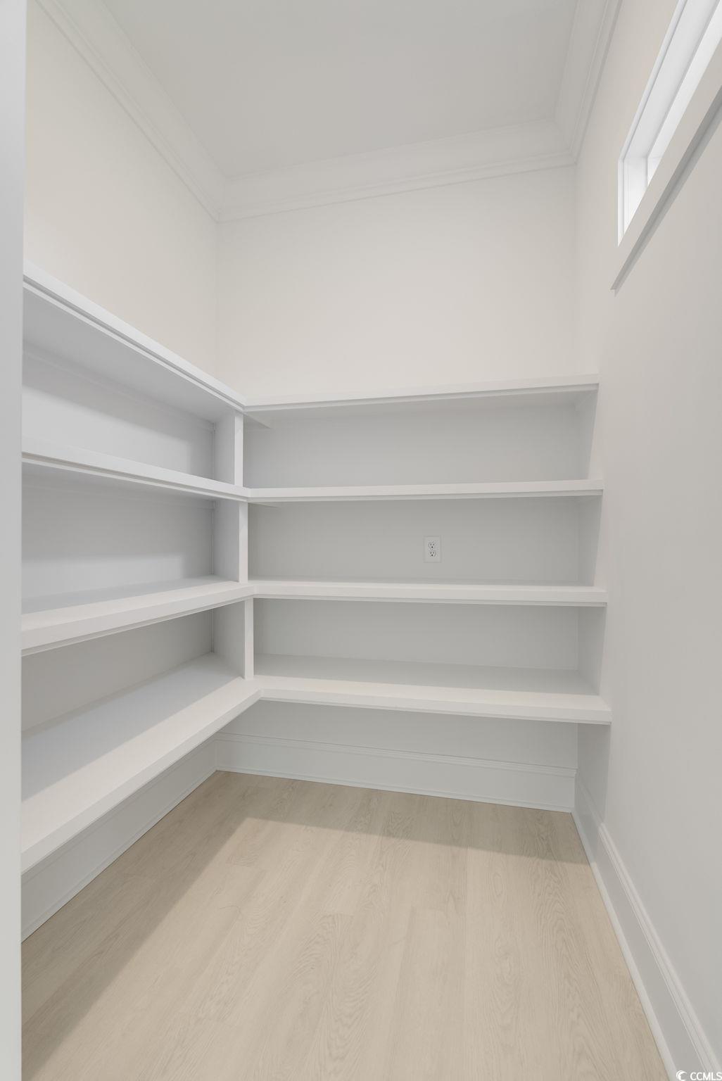 1109 Whooping Crane Drive Conway, SC 29526 - Photo 14 of 39 View of pantry