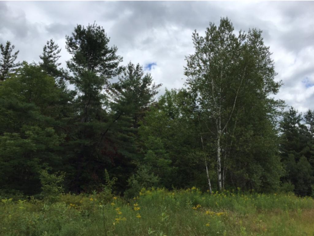 0 Taggart Hill Road Stockbridge, VT 05772 - Photo 2 of 5 Gallery Image 2
