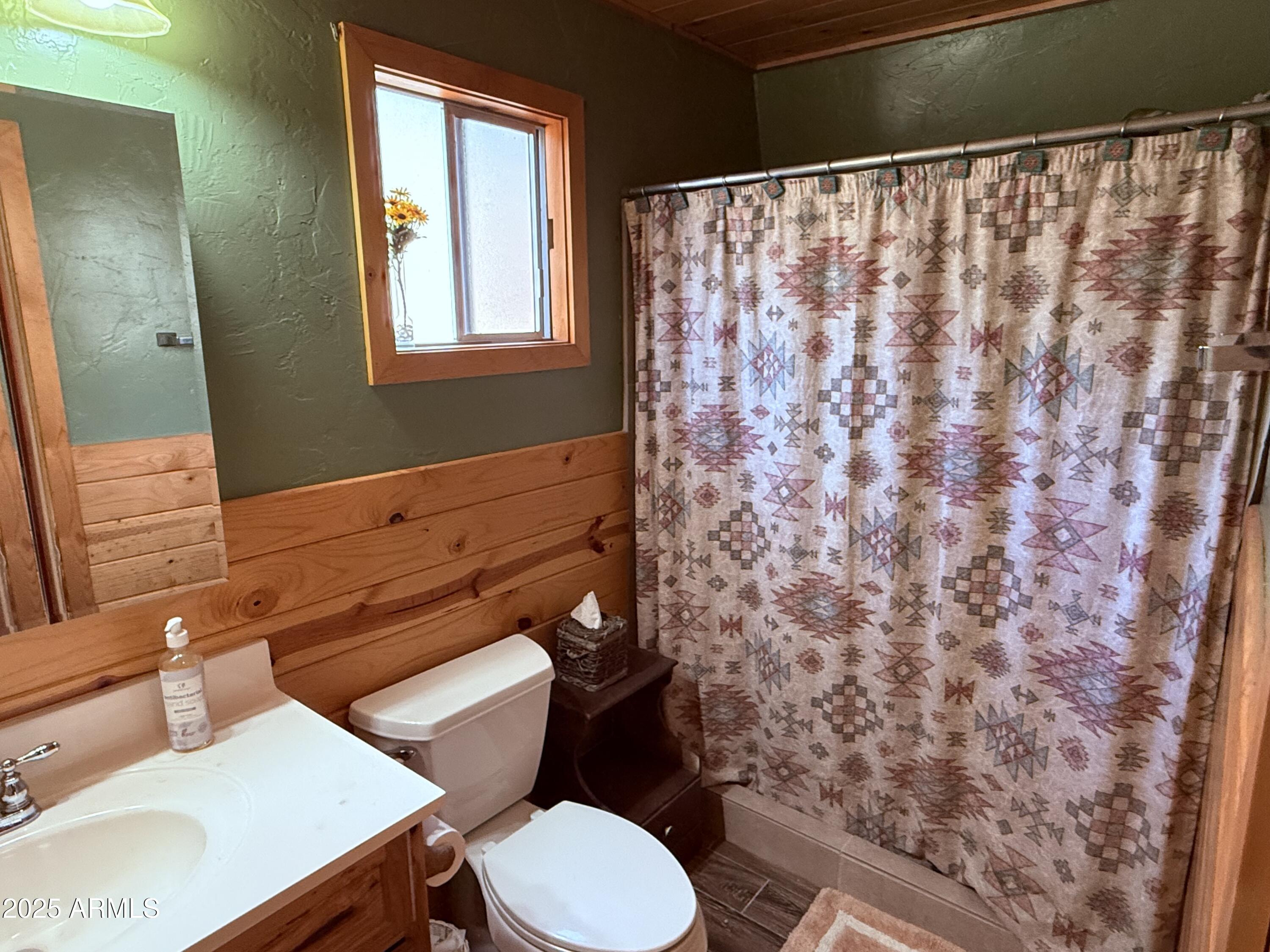 22761 South Eagle Mine Road Crown King, AZ 86343 - Photo 14 of 34 Bathroom