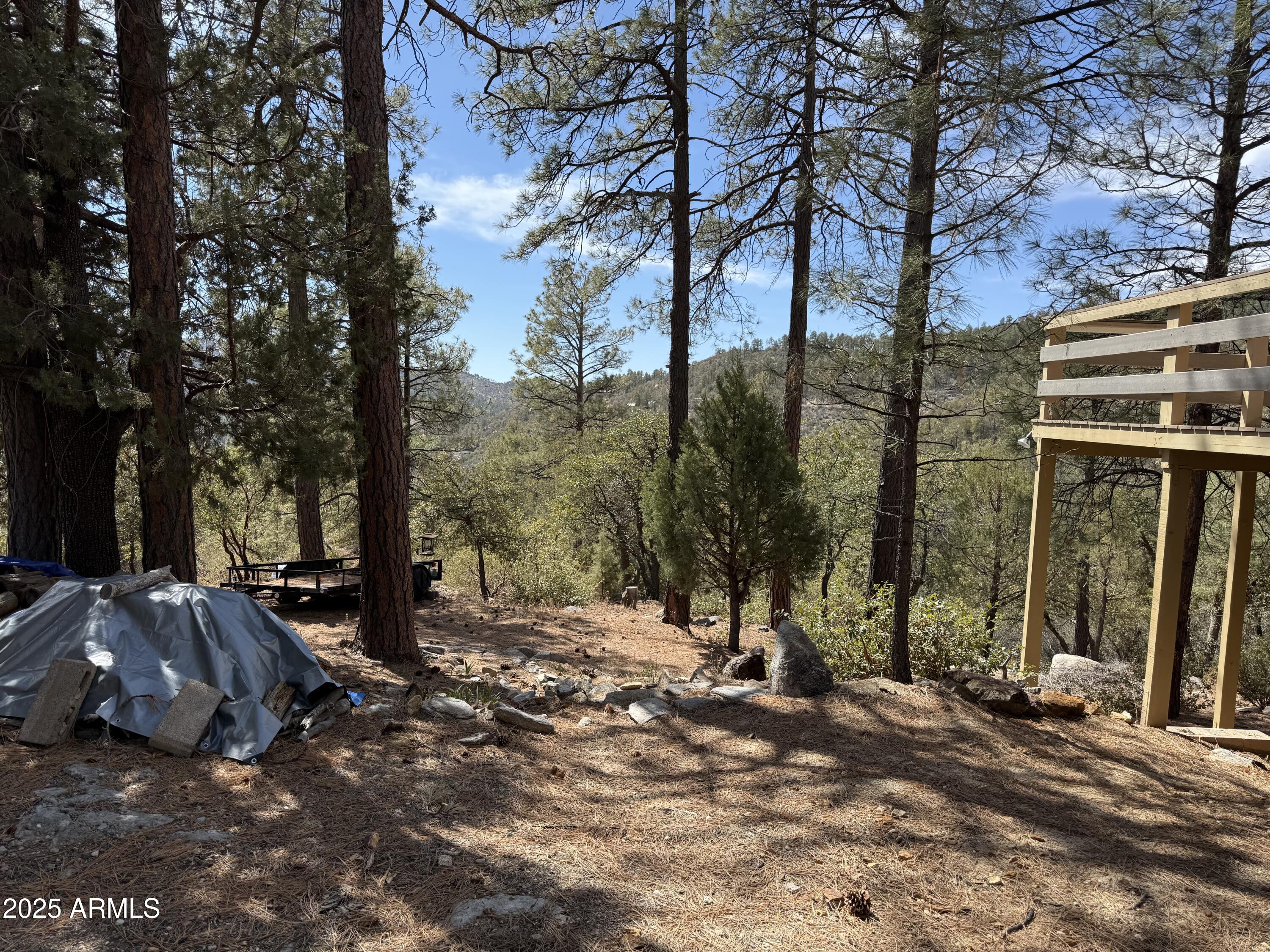 22761 South Eagle Mine Road Crown King, AZ 86343 - Photo 29 of 34 Tall pines