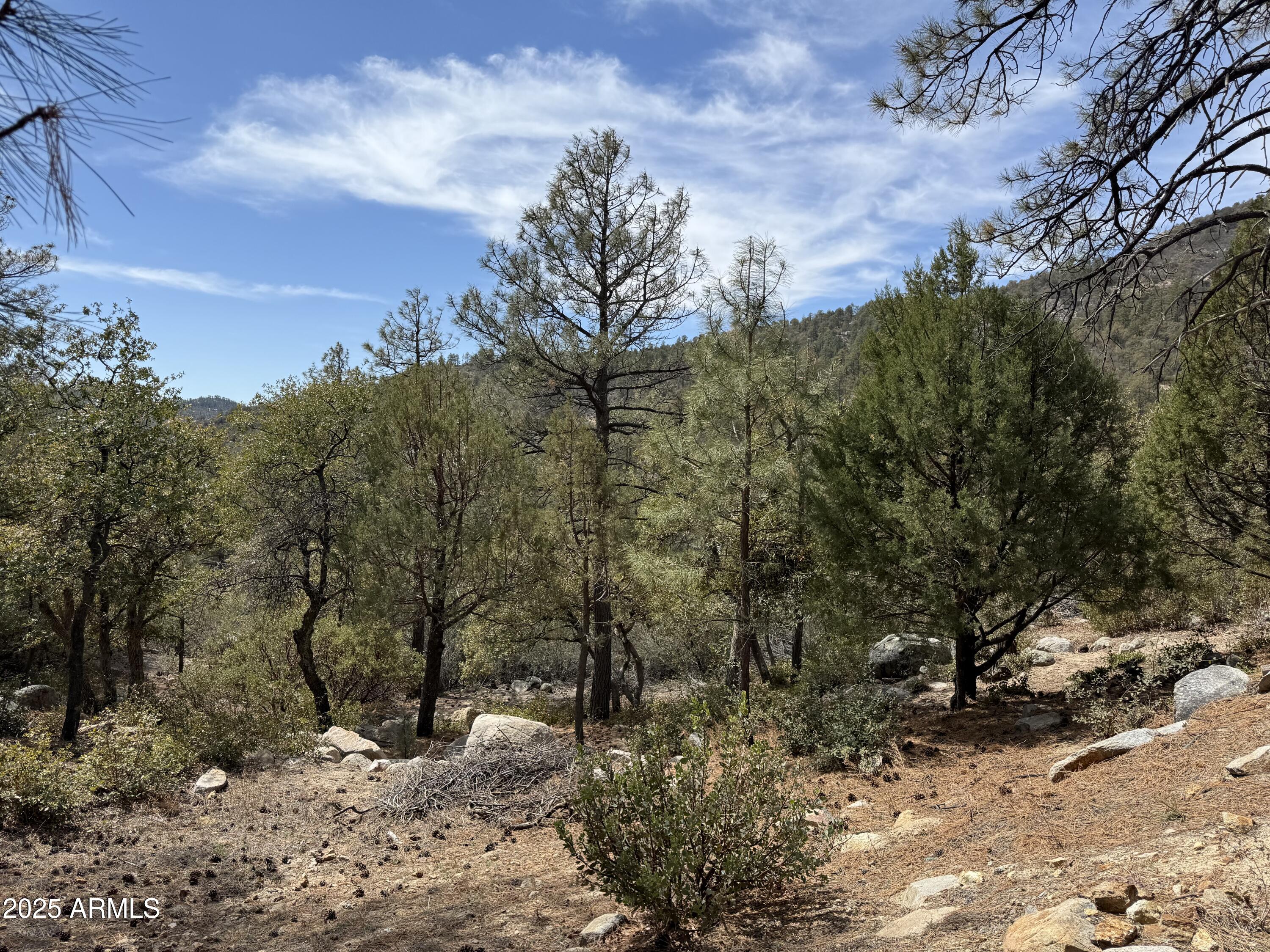 22761 South Eagle Mine Road Crown King, AZ 86343 - Photo 33 of 34 Tall pines & mountain views