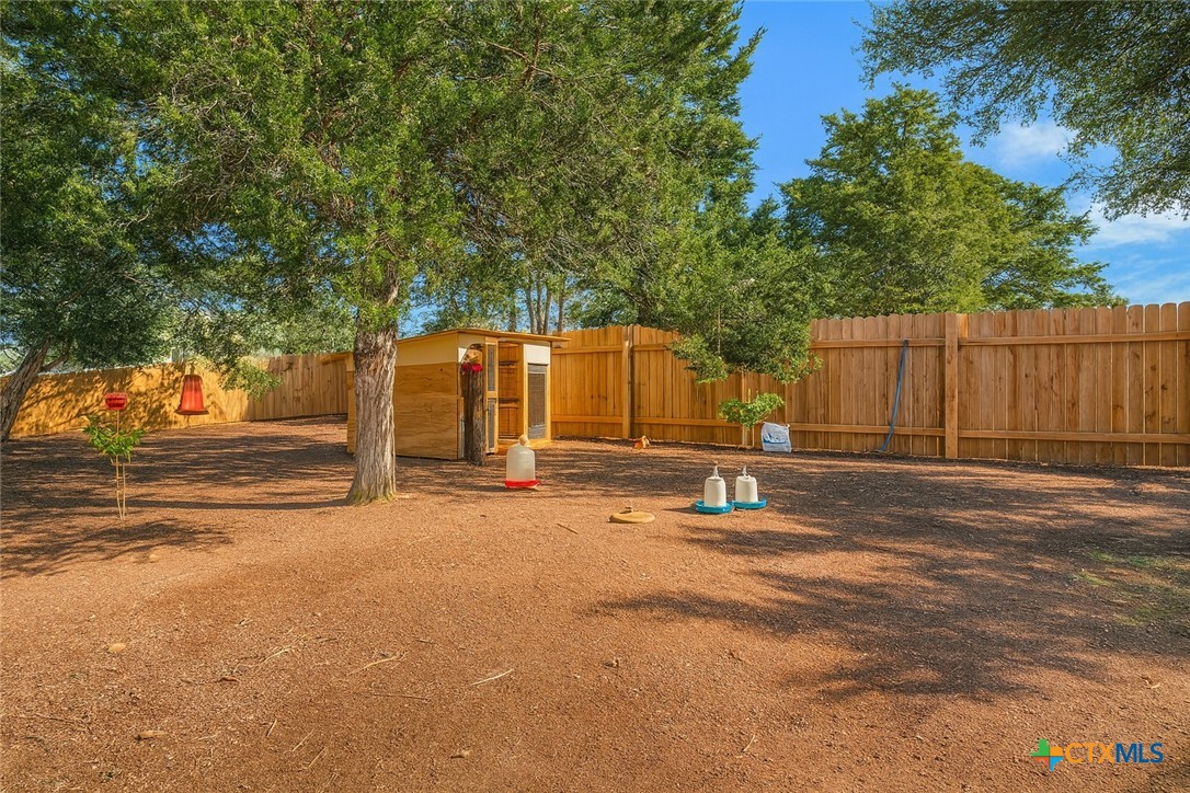 149 Arosa Drive Elgin, TX 78621 - Photo 13 of 40