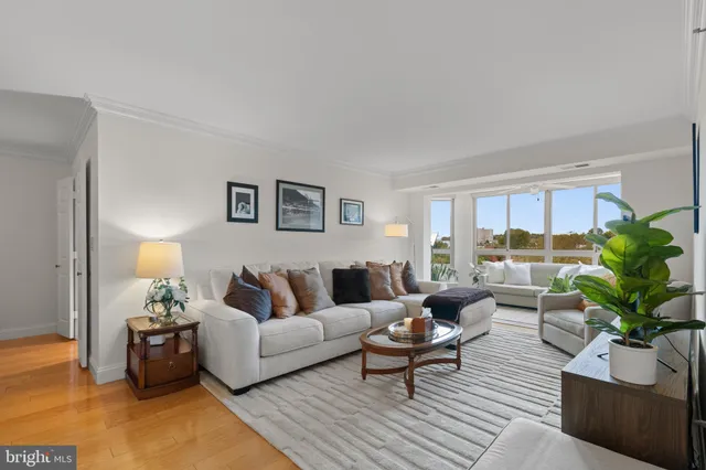 a living room with furniture potted plant and a window