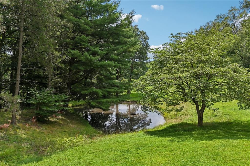 316 Orr Avenue Apollo, PA 15613 - Photo 38 of 47 a view of a green field with plants and trees