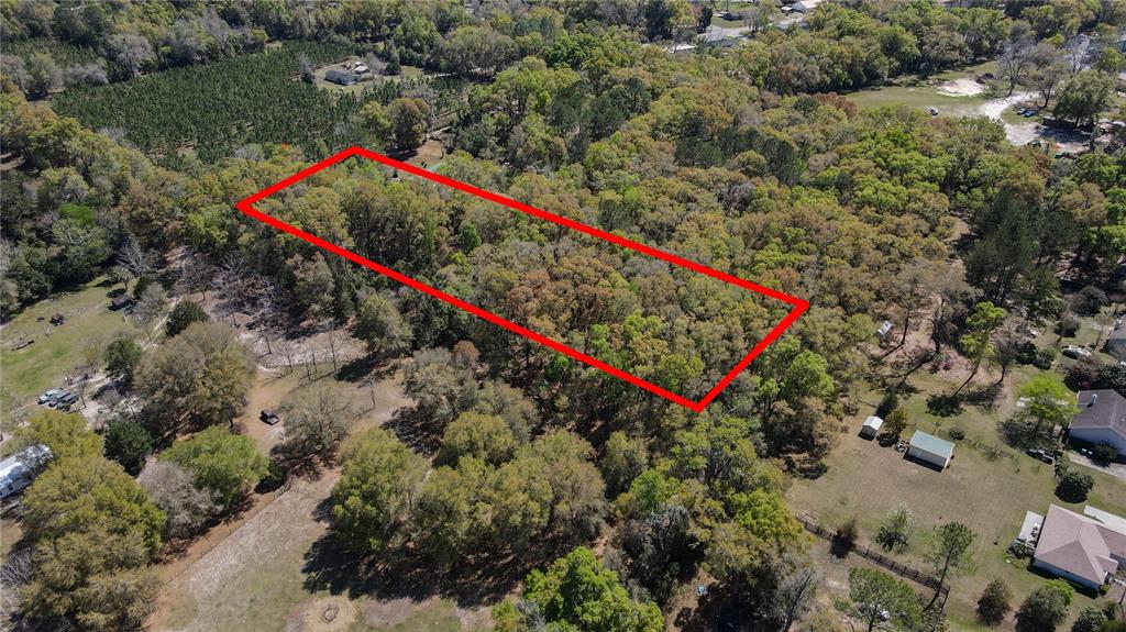 Northwest 253rd Street High Springs, FL 32643 - Photo 13 of 15