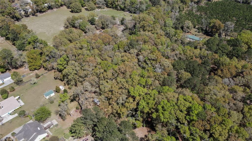 Northwest 253rd Street High Springs, FL 32643 - Photo 15 of 15