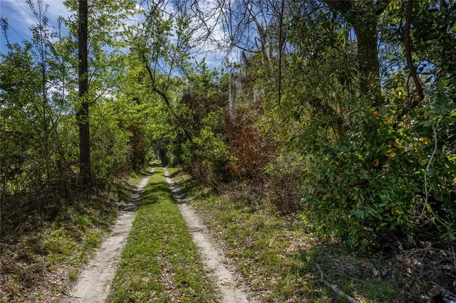 $95,000 | Northwest 253rd Street, High Springs, FL 32643