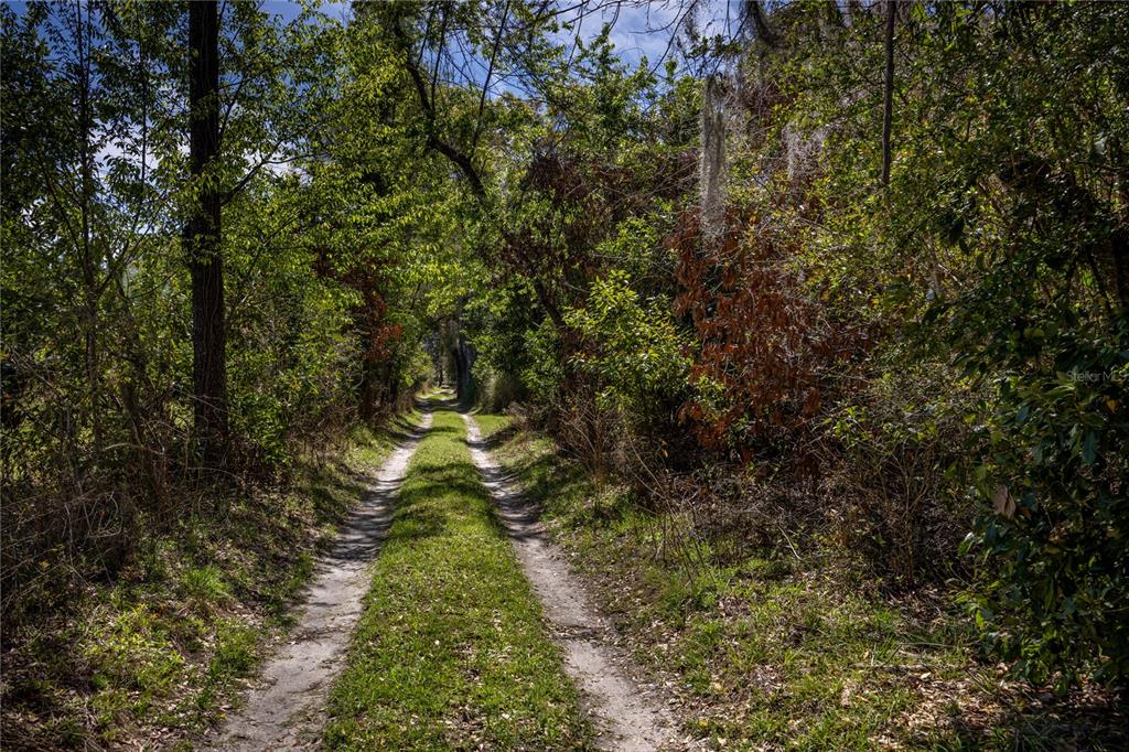 Northwest 253rd Street High Springs, FL 32643 - Photo 4 of 15