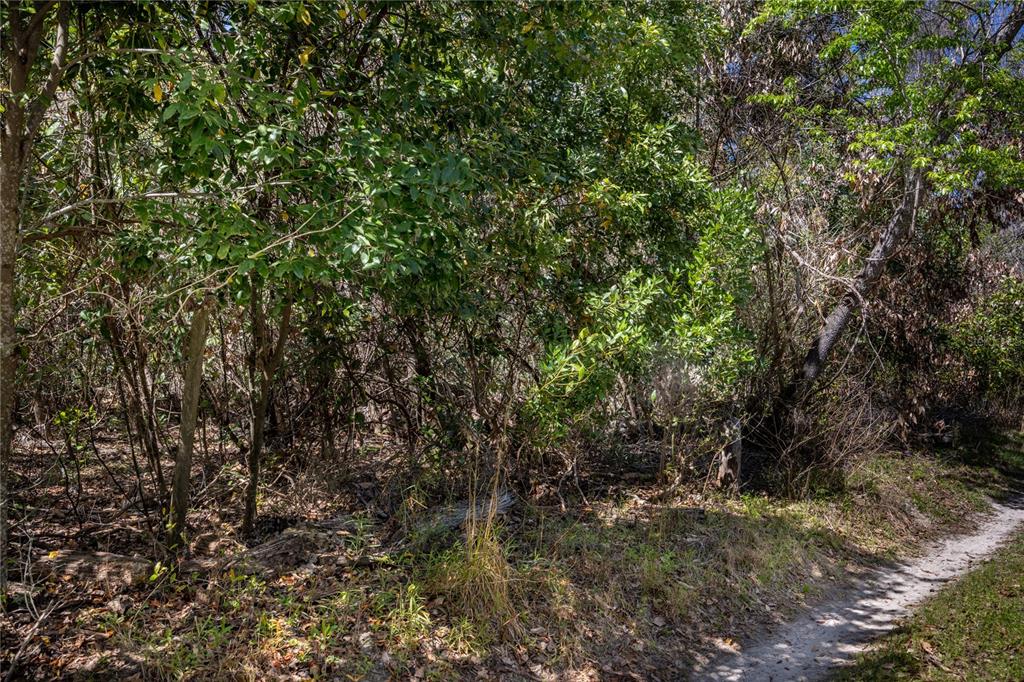 Northwest 253rd Street High Springs, FL 32643 - Photo 6 of 15