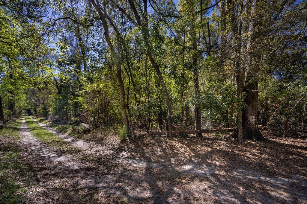 Northwest 253rd Street High Springs, FL 32643 - Photo 7 of 15