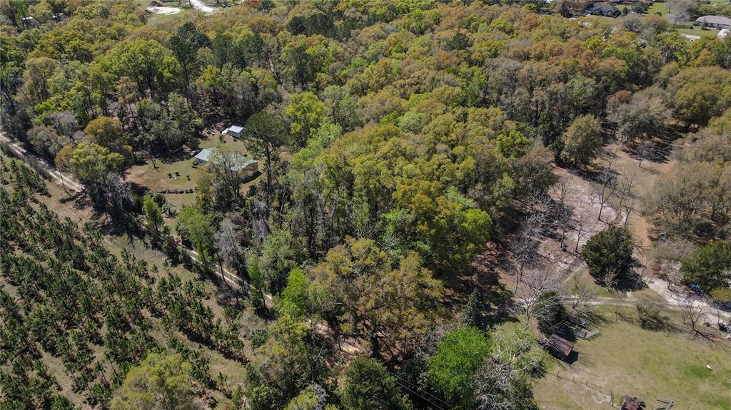 Northwest 253rd Street High Springs, FL 32643 - Photo 8 of 15