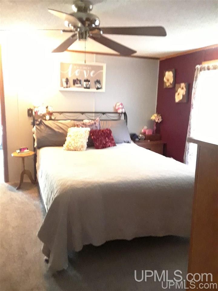 6653 West Co Road Manistique, MI 49854 - Photo 9 of 24