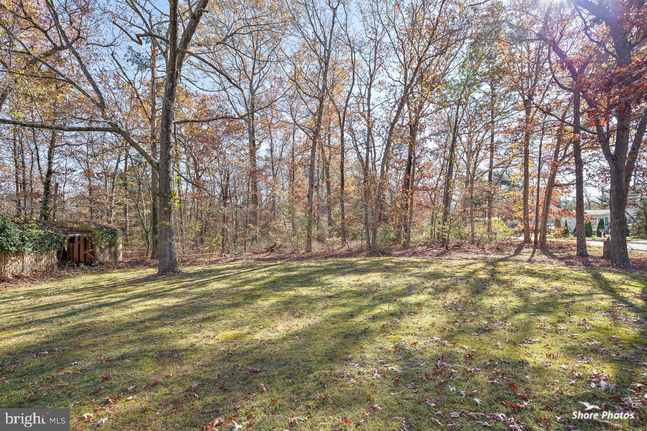 108 Samson Road Woodbine, NJ 08270 - Photo 32 of 35