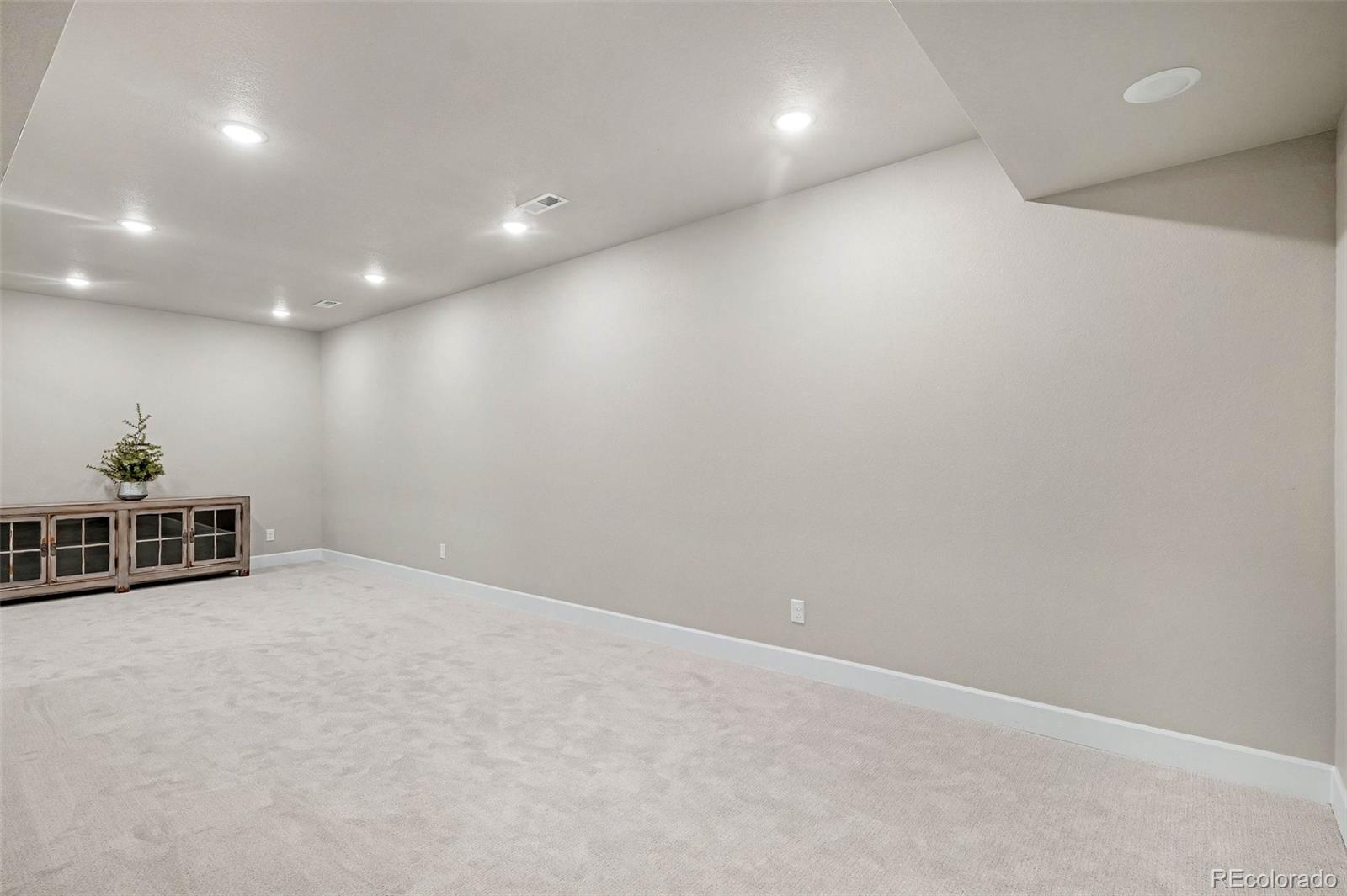 650 Simmental Loop Castle Rock, CO 80104 - Photo 34 of 50