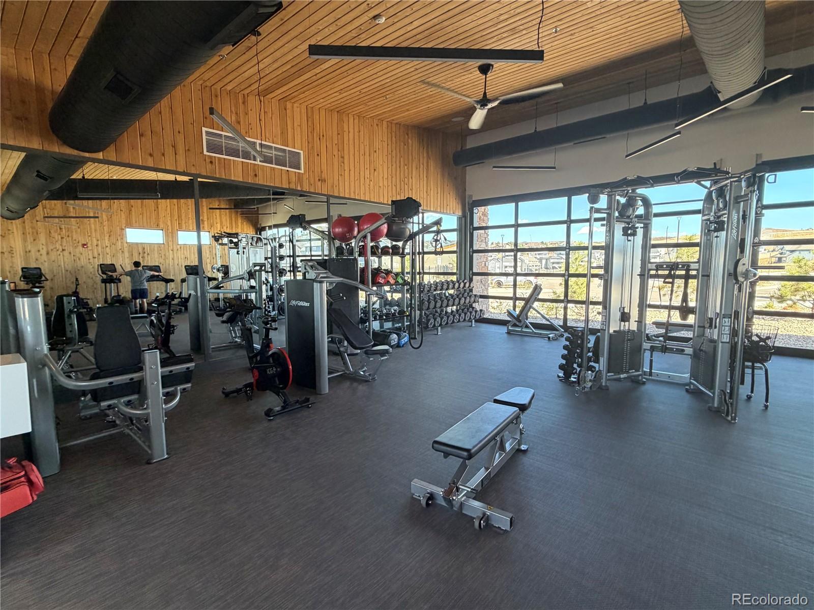 650 Simmental Loop Castle Rock, CO 80104 - Photo 50 of 50