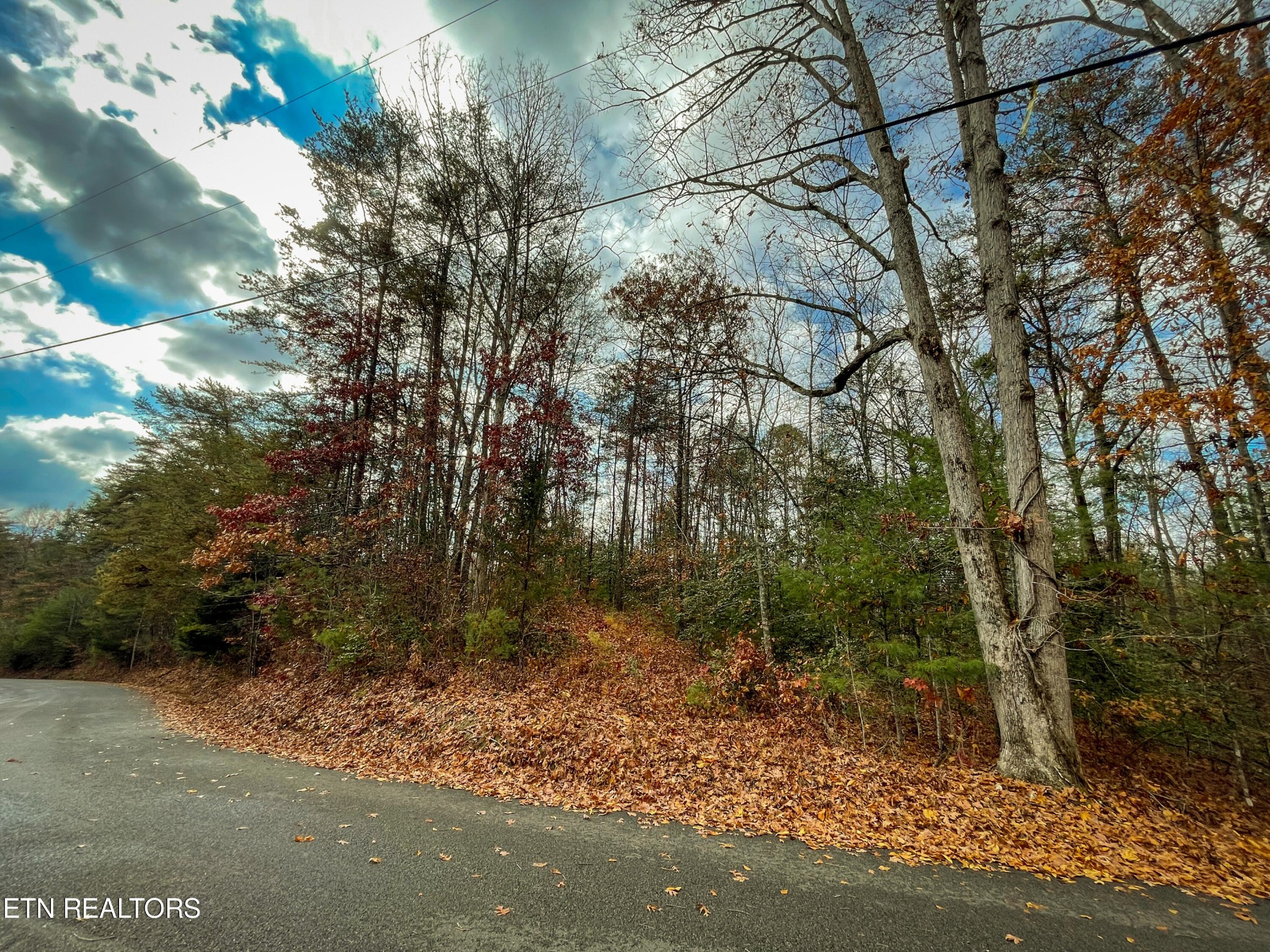 10795152 Shell Mountain Road Sevierville, TN 37876 - Photo 22 of 30 Gallery Image 22