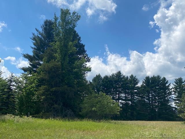 2724 West County Road Grayling, MI 49738 - Photo 40 of 43