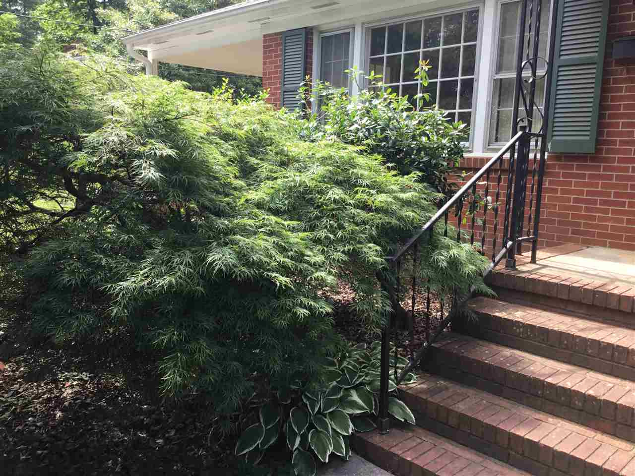 519 West Cornwall Road Cary, NC 27511 - Photo 5 of 29 Beautiful Japanese Maple tree at the front entrance Front Entry