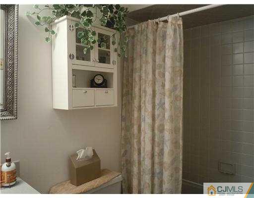 147 Redpine Loop Old Bridge, NJ 08857 - Photo 17 of 25 a bathroom with a shower and a sink