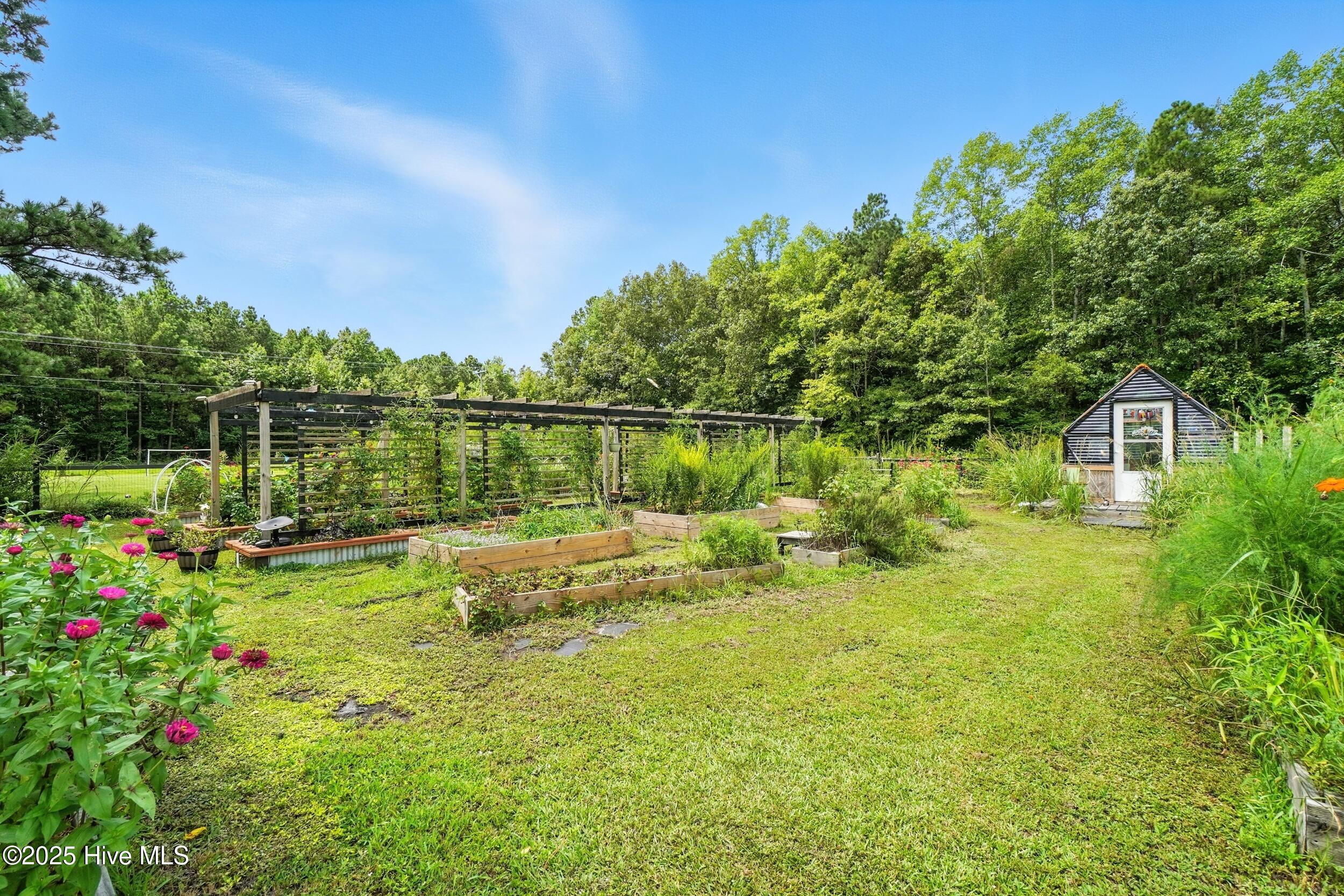 579 Tulls Creek Road Moyock, NC 27958 - Photo 42 of 50 48