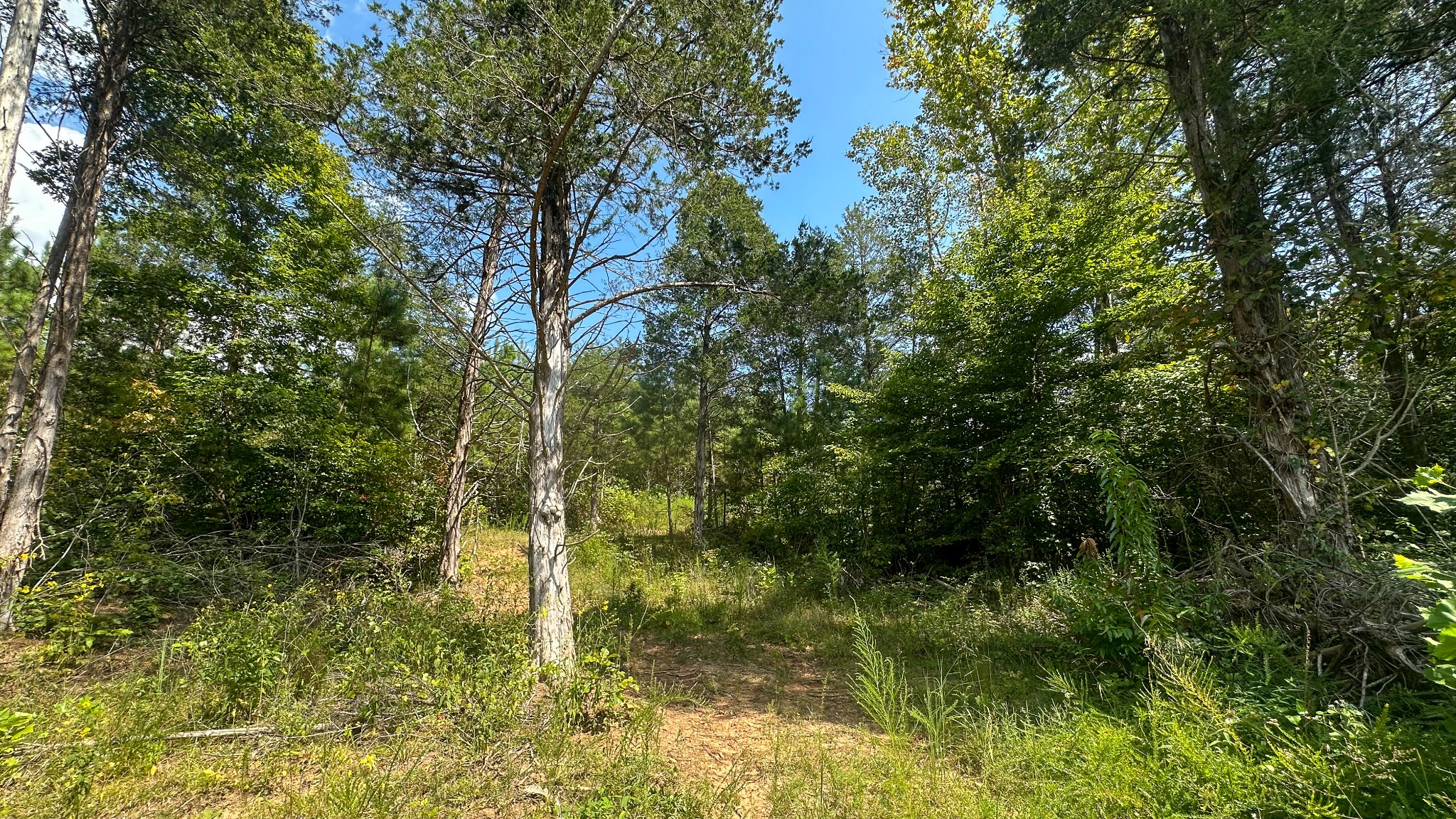 0 Jeanette Holladay Road Parsons, TN 38363 - Photo 19 of 64