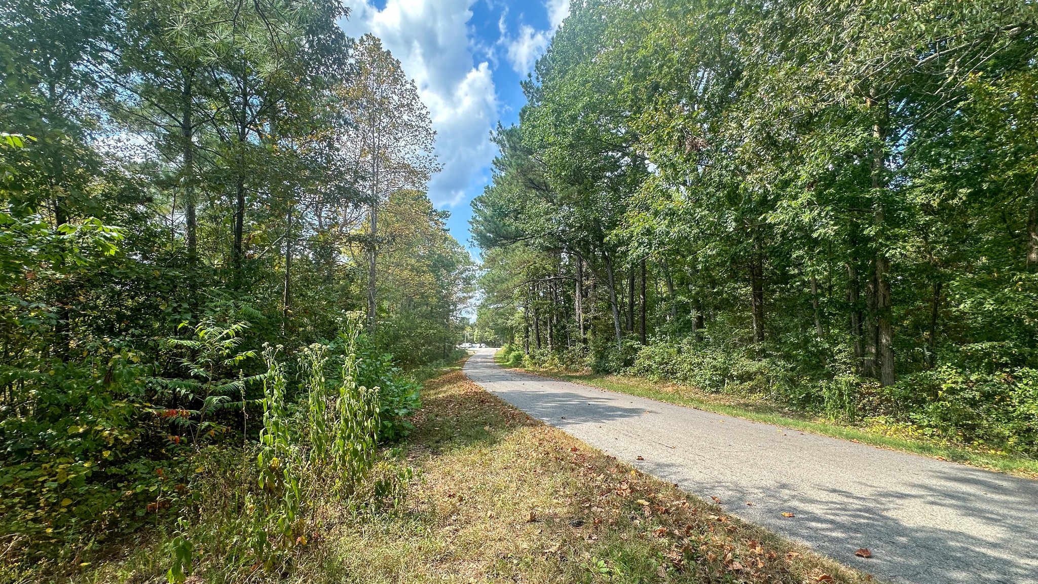 0 Jeanette Holladay Road Parsons, TN 38363 - Photo 2 of 64 a view of a yard with plants and trees