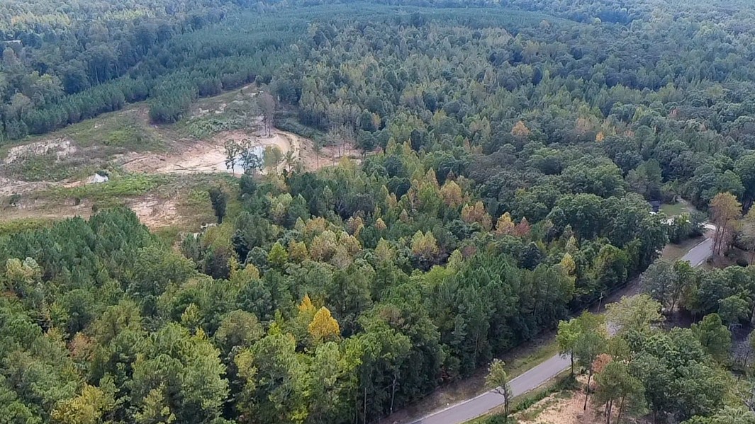 0 Jeanette Holladay Road Parsons, TN 38363 - Photo 30 of 64 a view of a forest with a street