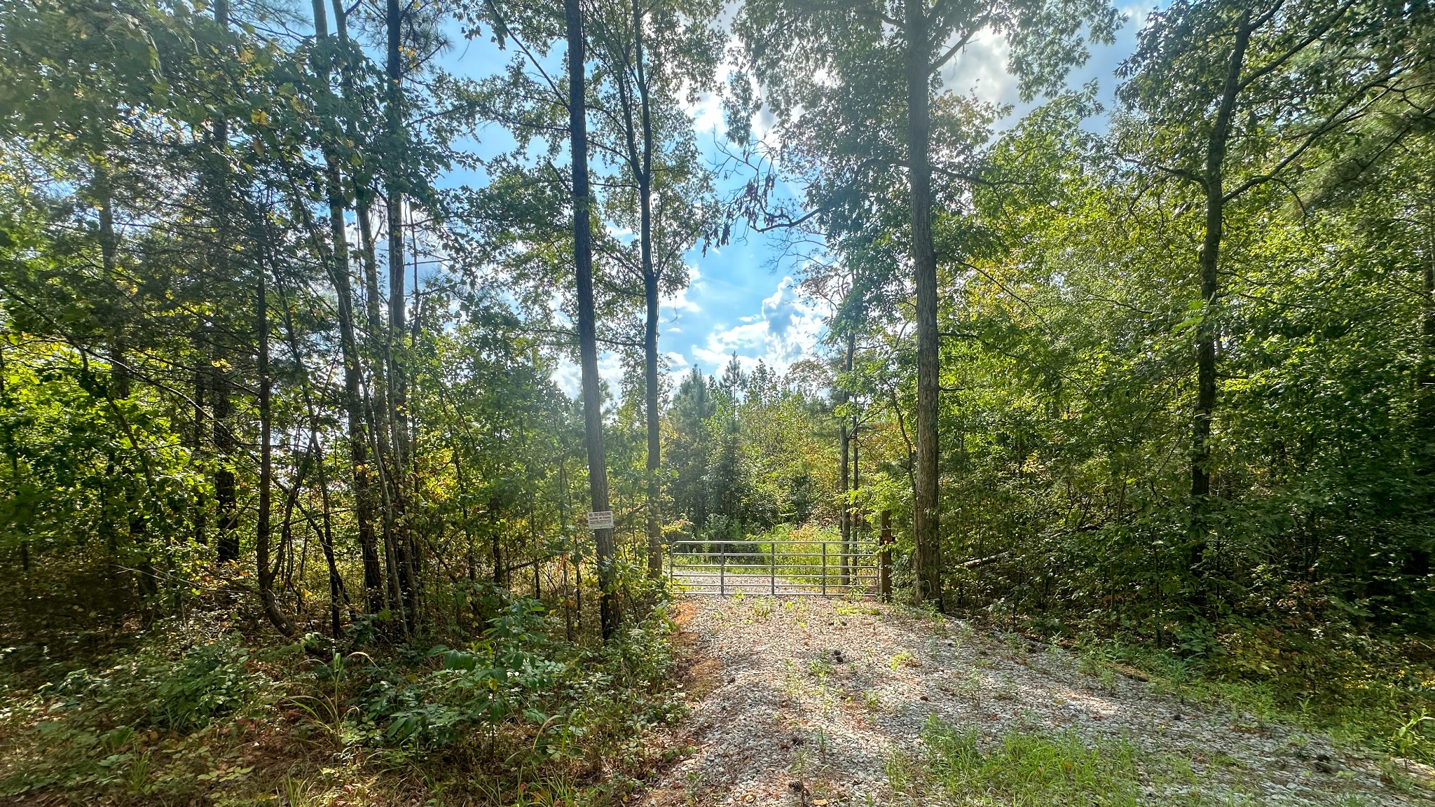 0 Jeanette Holladay Road Parsons, TN 38363 - Photo 3 of 64 a view of a forest with trees in the background
