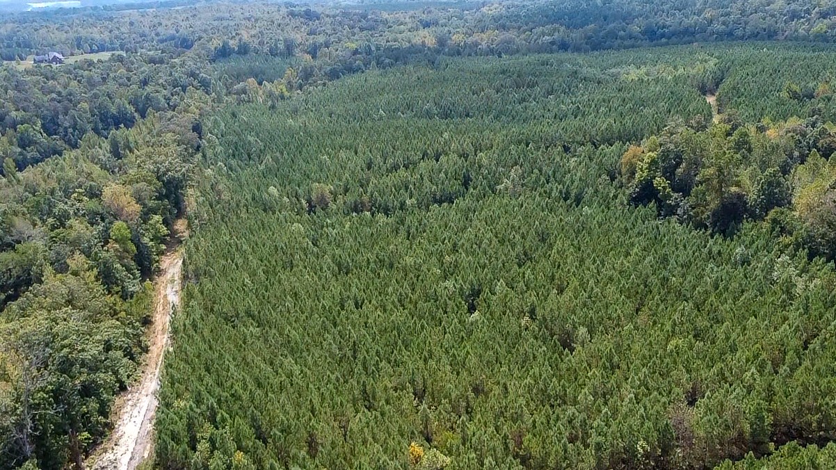 0 Jeanette Holladay Road Parsons, TN 38363 - Photo 34 of 64 a view of a lush green forest