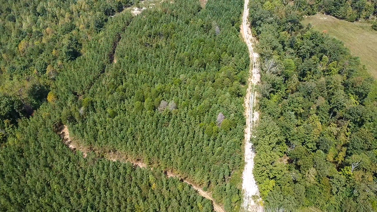 0 Jeanette Holladay Road Parsons, TN 38363 - Photo 35 of 64