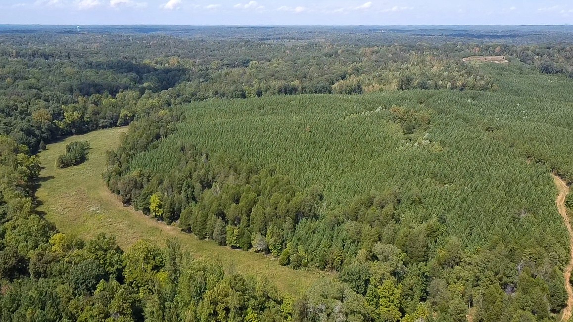 0 Jeanette Holladay Road Parsons, TN 38363 - Photo 38 of 64