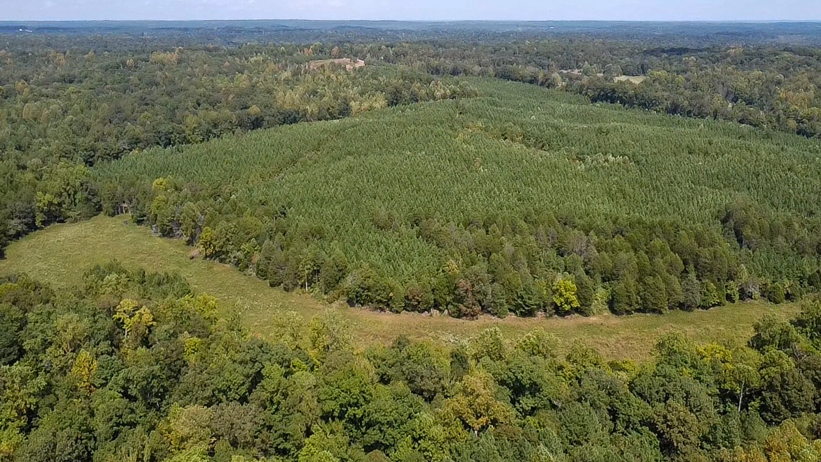0 Jeanette Holladay Road Parsons, TN 38363 - Photo 39 of 64