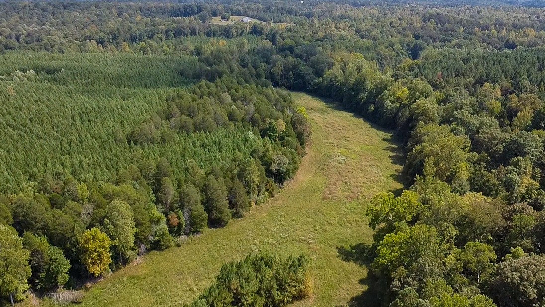 0 Jeanette Holladay Road Parsons, TN 38363 - Photo 41 of 64 a view of a forest with a lake