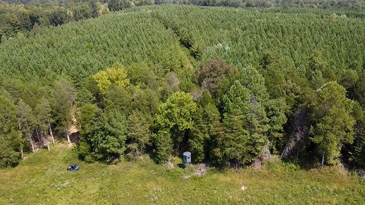 0 Jeanette Holladay Road Parsons, TN 38363 - Photo 43 of 64