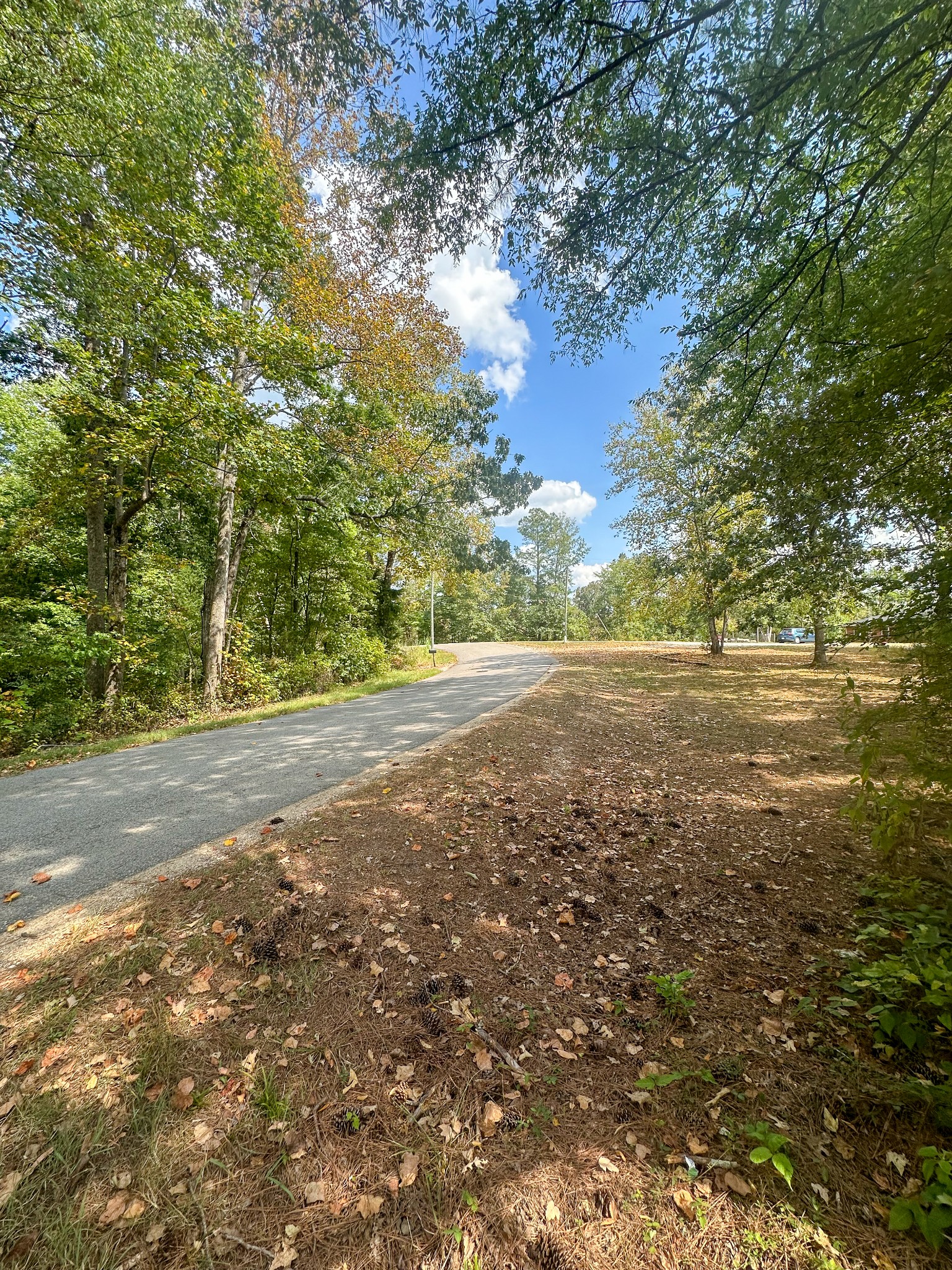 0 Jeanette Holladay Road Parsons, TN 38363 - Photo 49 of 64 a view of yard with large trees