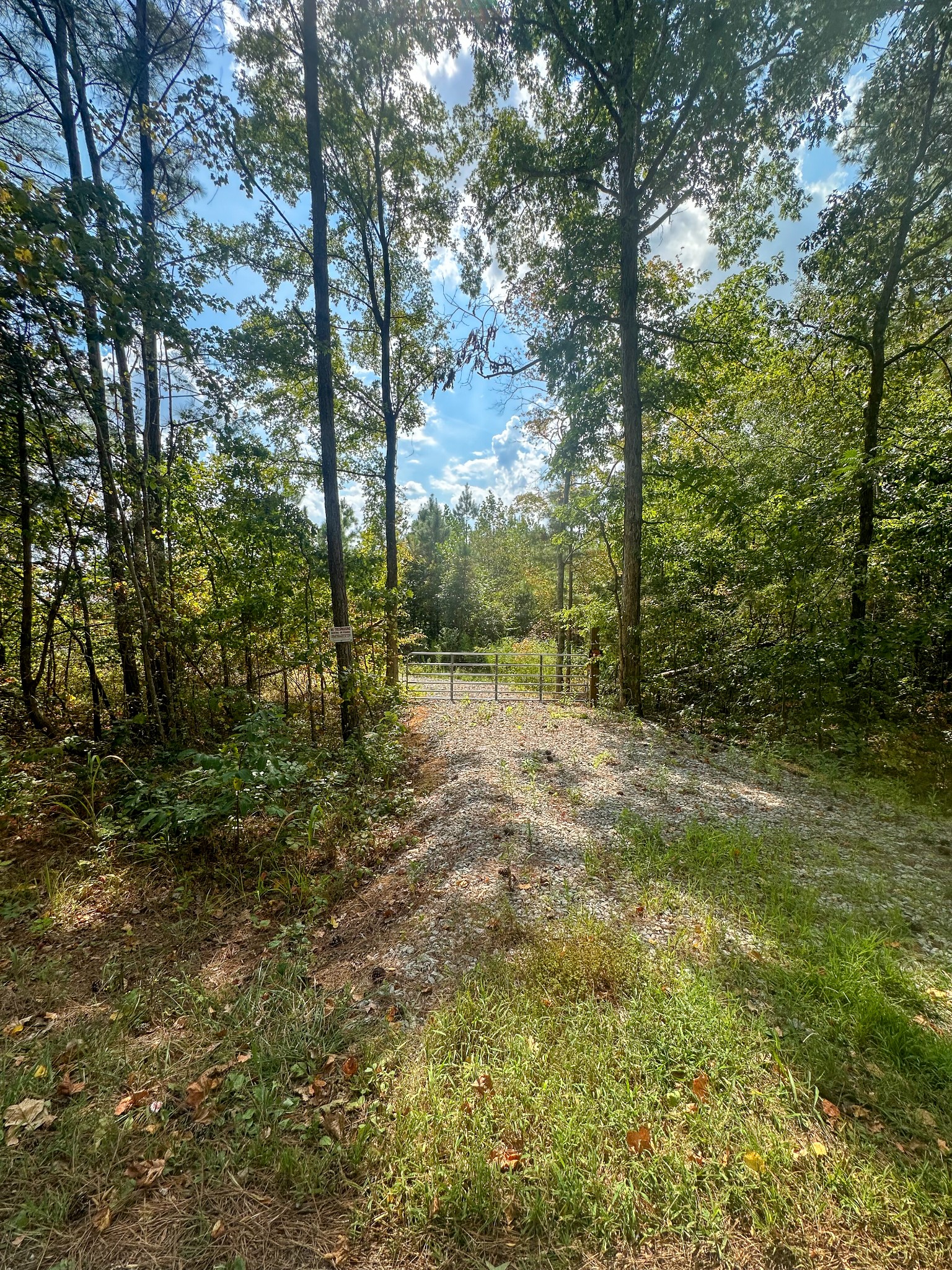 0 Jeanette Holladay Road Parsons, TN 38363 - Photo 50 of 64 a view of outdoor space with trees all around