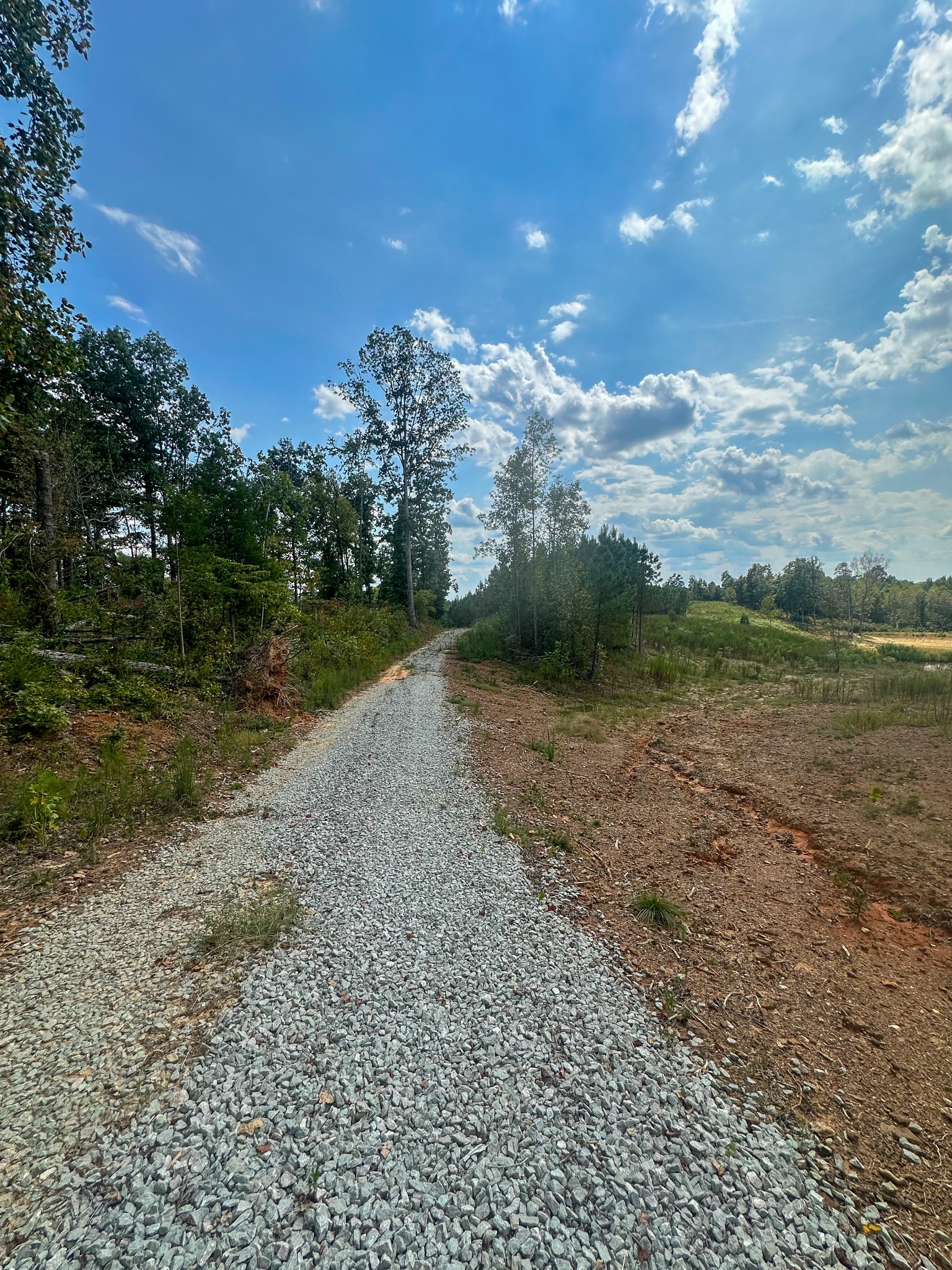 0 Jeanette Holladay Road Parsons, TN 38363 - Photo 51 of 64 a view of a field with an trees