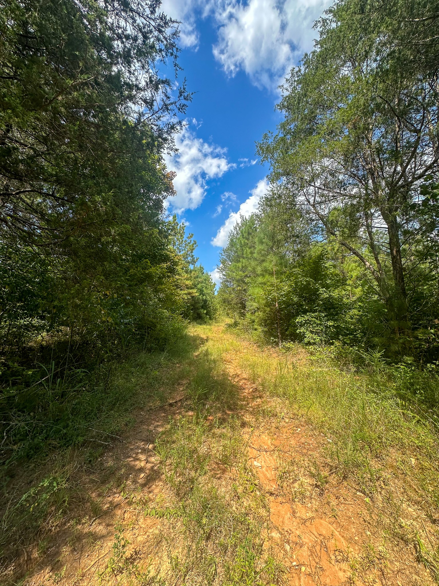 0 Jeanette Holladay Road Parsons, TN 38363 - Photo 53 of 64